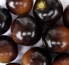 Indigo Rose Organic tomato 60 seeds