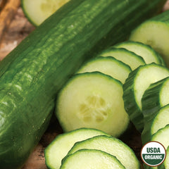 Cucumber, Spring Burpless Organic Seeds, 1.2g