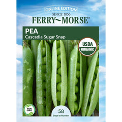 Pea, Cascadia Sugar Snap Organic Seeds, 14g