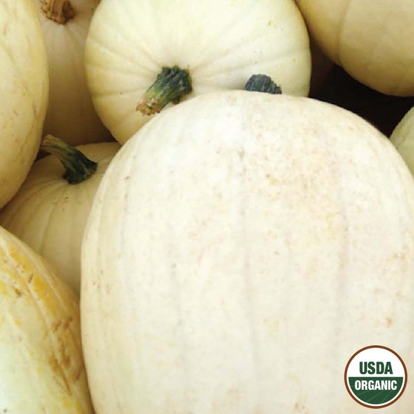 Pumpkin, Casper Organic Seeds, 4.4g
