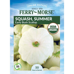 Squash, Early White Bush Scallop Organic Seeds, 5.3g