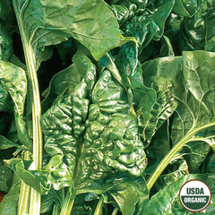 Spinach, Giant Noble Organic Seeds, 4.4g