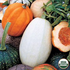 Pumpkin, Fall Rainbow Blend Organic Seeds, 4.4g