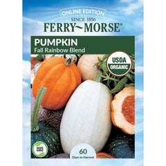Pumpkin, Fall Rainbow Blend Organic Seeds, 4.4g