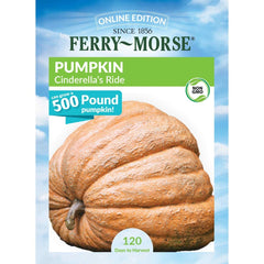 Pumpkin, Cinderella's Ride Seeds, 3g
