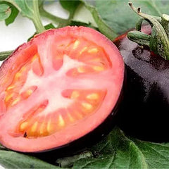 Black Tomato Seeds - Black Beauty Queen