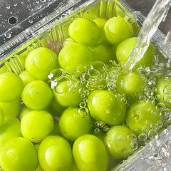 Shine Muscat Tree Seeds-Sunshine Rose Grape（Can be potted）
