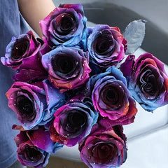 Starry Sky Roses