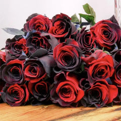 Carmen Rose - Twin Red Black Rose Seeds