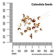 Calendula, Pacific Beauty Seeds, 900mg