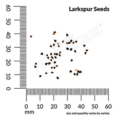 Larkspur, Giant Imperial Mixed Colors, 1.2g