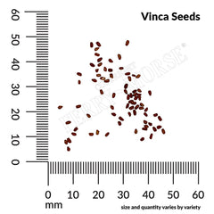 Vinca, Mixed Colors Seeds, 400mg