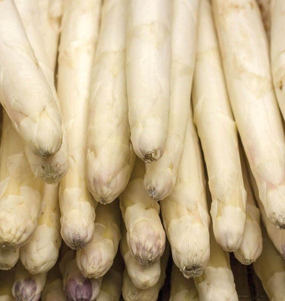 Voltaire Asparagus F1