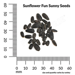 Sunflower, Fun Sunny Hybrid Mix Seeds, 1.4g