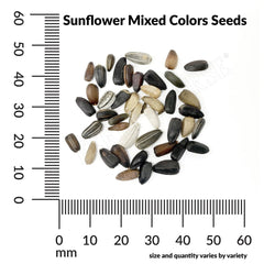 Sunflower, Mixed Colors Seeds, 1.8g