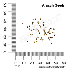 Arugula, Roquette Organic Seeds, 1.1g