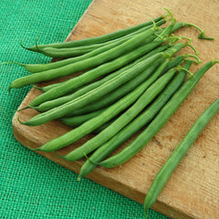 Hickok Bean