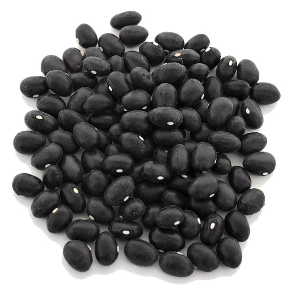 Black Coco Bean