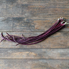 Red Noodle Bean