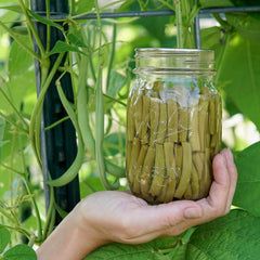 Emerite Bean