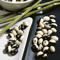 Yin Yang Bean
