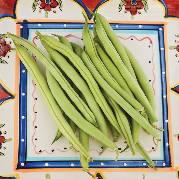 Provider Bean