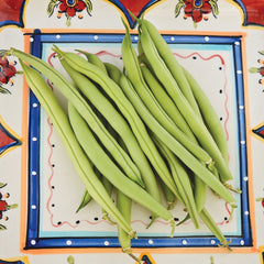 Provider Bean