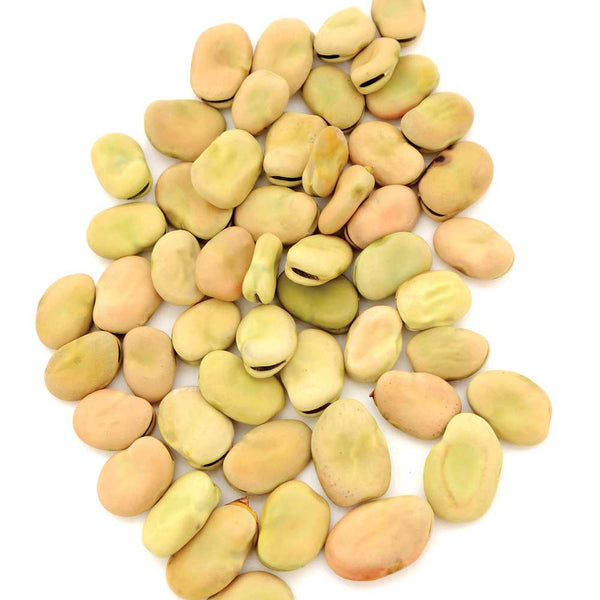 Aprovecho Bean