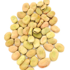 Aprovecho Bean