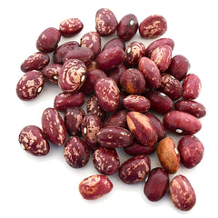 Cranberry Bean