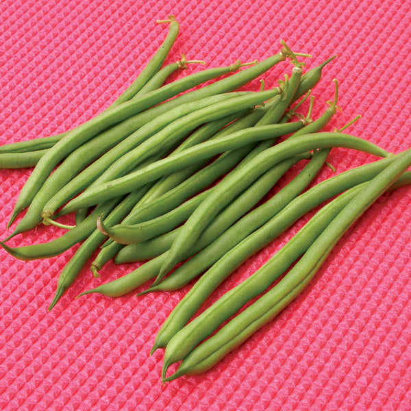Jade Bean