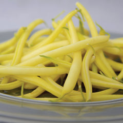 Borsalino Bean
