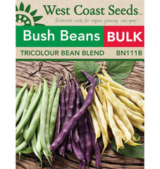 Tricolour Bean Blend