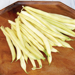 Gold Rush Bean