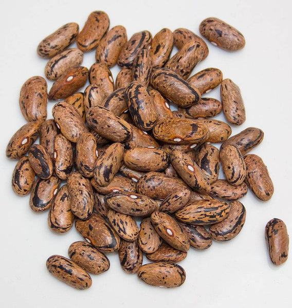 Borlotti