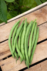Goliath Organic