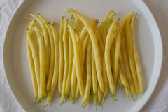 Gold Rush Organic