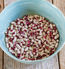 Jacob's Cattle Bean Organic