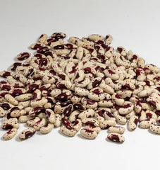 Jacob's Cattle Bean Organic
