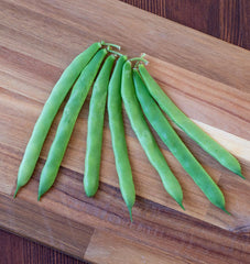 Jacob's Cattle Bean Organic