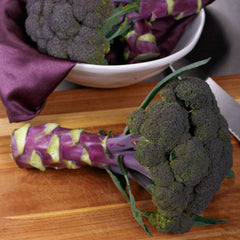 Purple Magic Broccoli