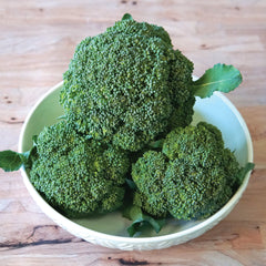 Gemini Broccoli