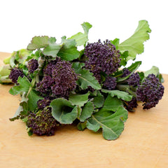 Rudolph Broccoli