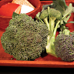 Umpqua Broccoli