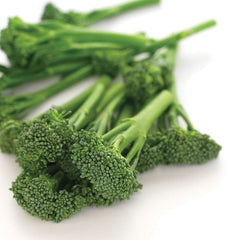 Aspabroc F1 Broccolini