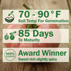 Brandywine Tomato