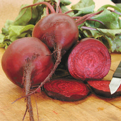 Early Wonder Tall Top Beet