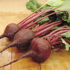 Lutz Green Leaf Beet