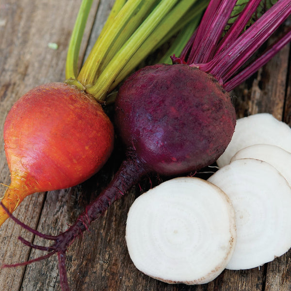 Autumn Harvest Blend Beet