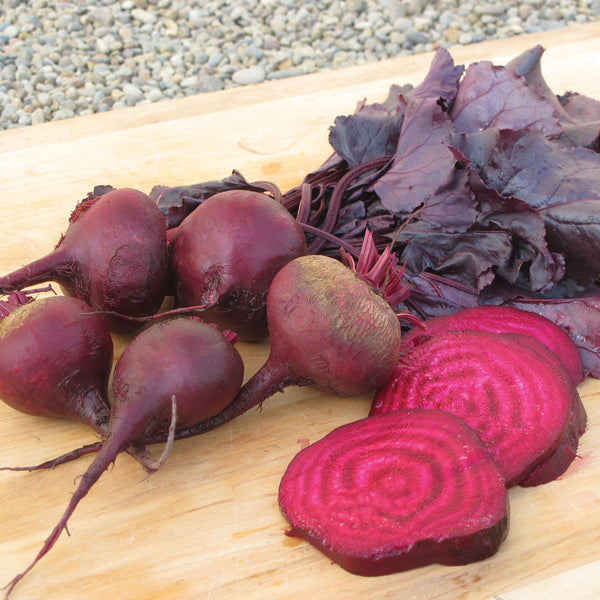 Bulls's Blood Beet